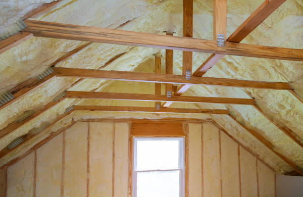 Best Garage Insulation Installation  in Columbia, IL