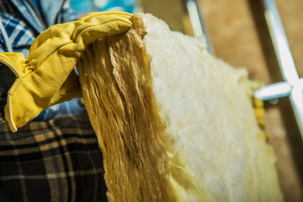 Best Insulation Contractors for Homes  in Columbia, IL