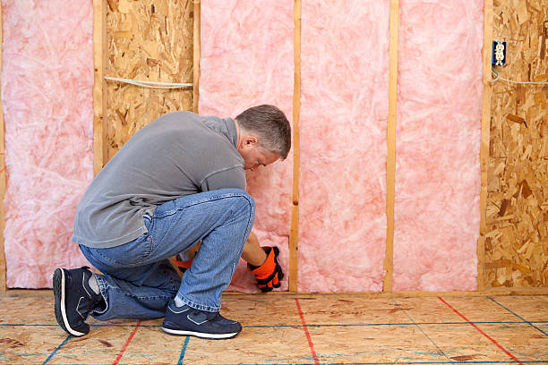 Best Fiberglass Insulation  in Columbia, IL