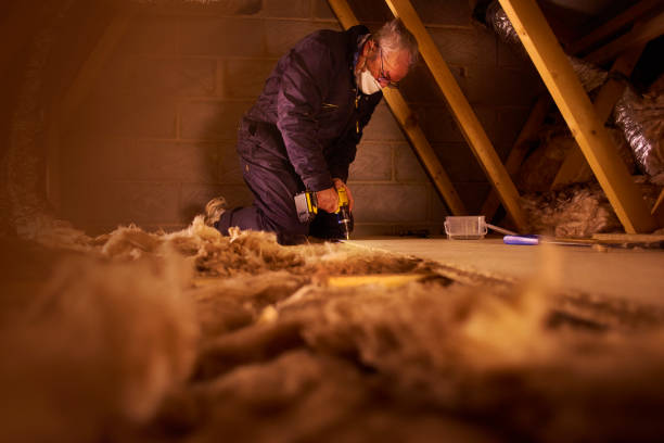 Best Garage Insulation Installation  in Columbia, IL
